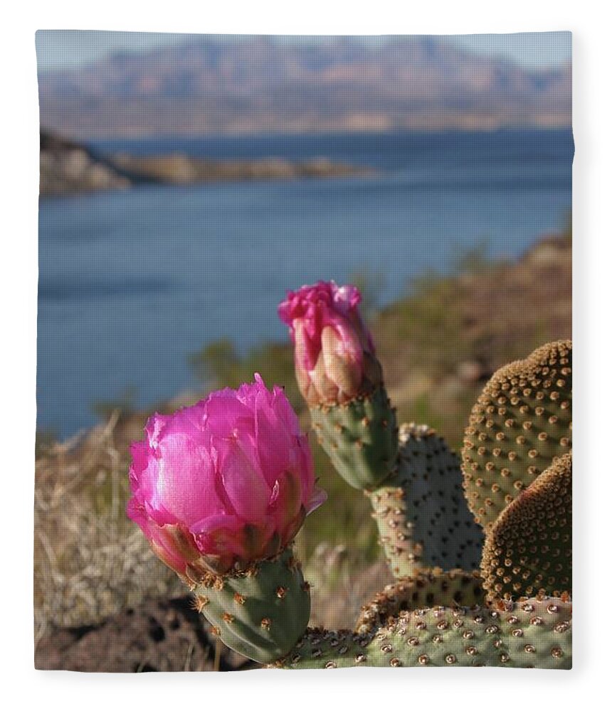 Cactus Fleece Blanket featuring the photograph Cactus Flower by Jeff Floyd CA