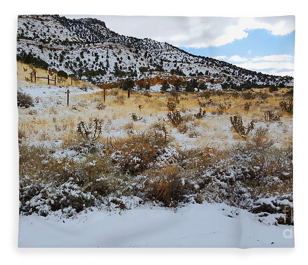 Southwest Landscape Fleece Blanket featuring the photograph Cactus in the snow by Robert WK Clark