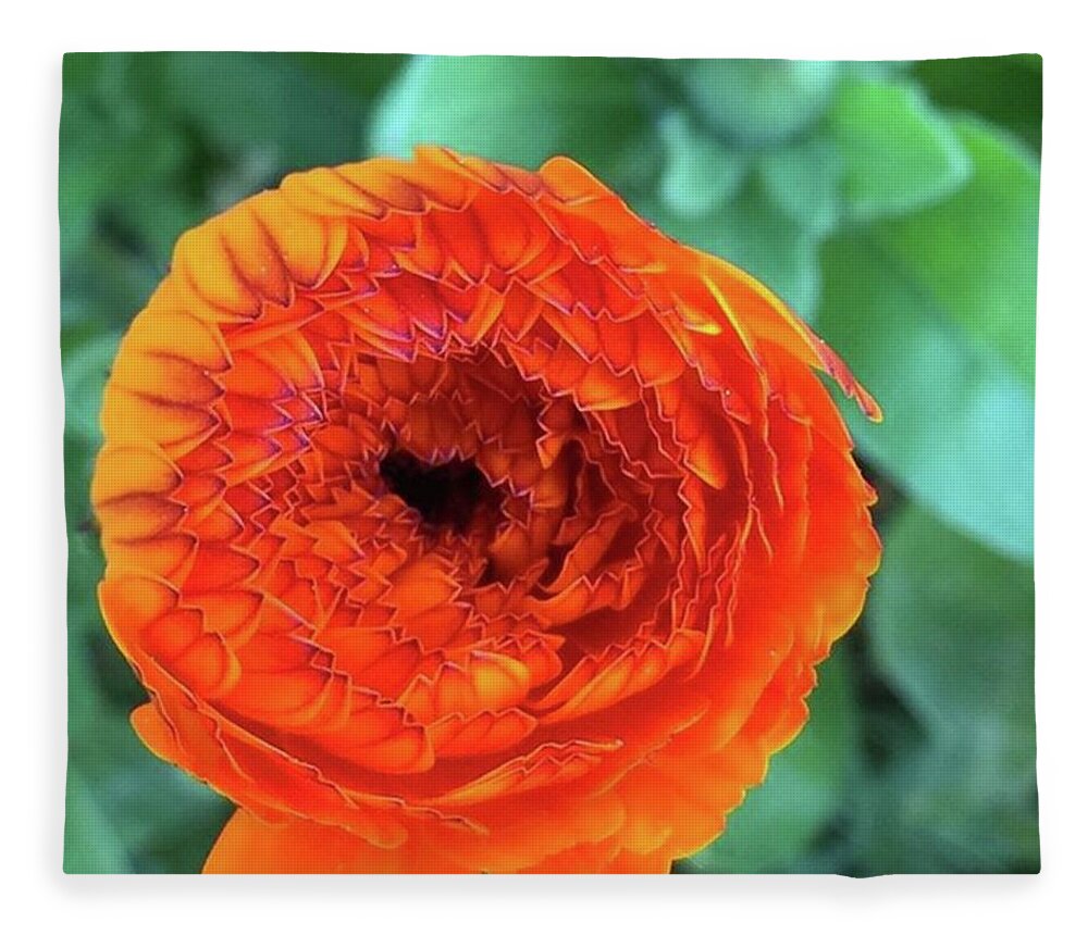 Flower Fleece Blanket featuring the photograph Calendula. #calendula #orange by Ginger Oppenheimer