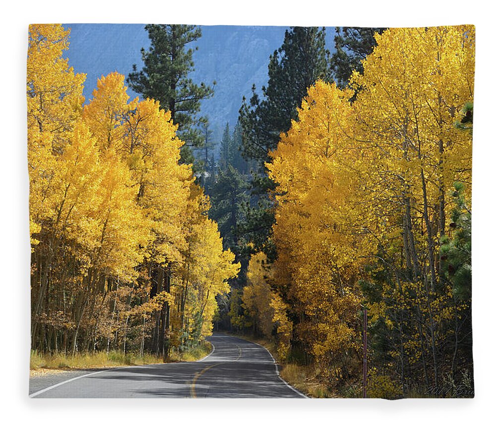 Autumn Fleece Blanket featuring the photograph California Gold by Brian Tada