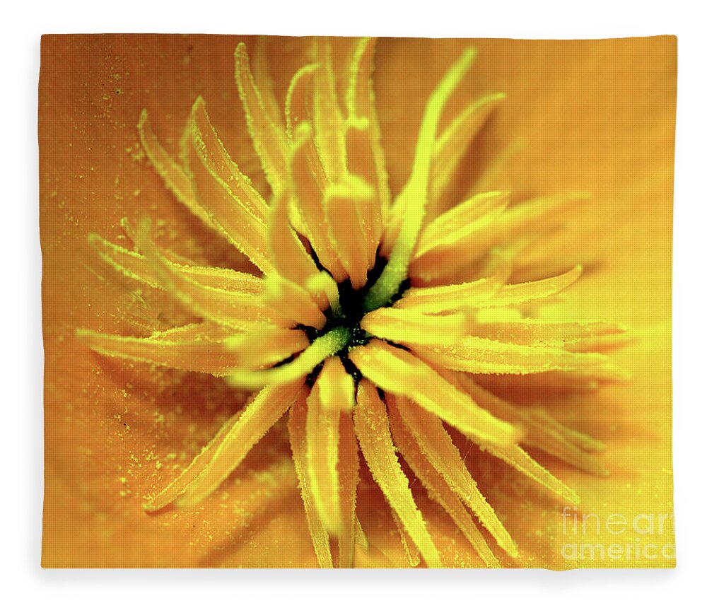 Californian Fleece Blanket featuring the photograph Californian Poppy Macro by Baggieoldboy