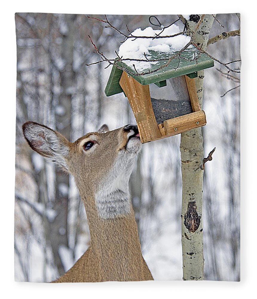 Deer Fleece Blanket featuring the photograph Call Me Tweety by Gary Beeler