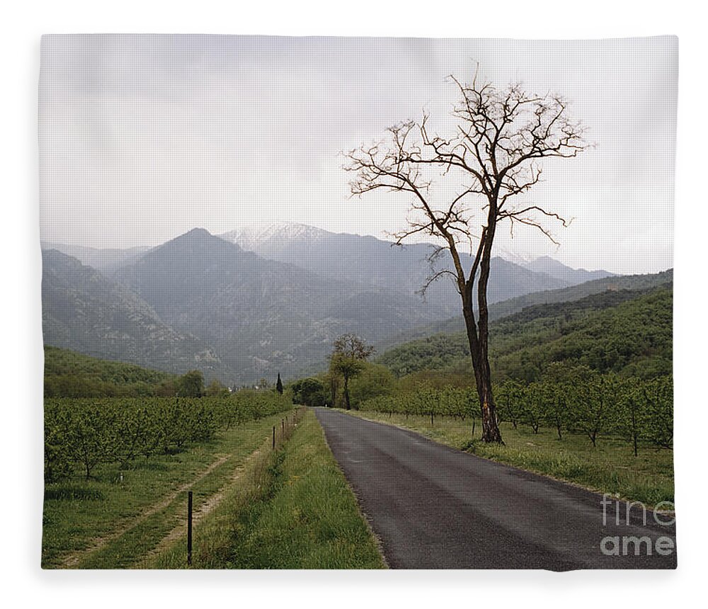 Canigou Fleece Blanket featuring the photograph Canigou and tree by Riccardo Mottola