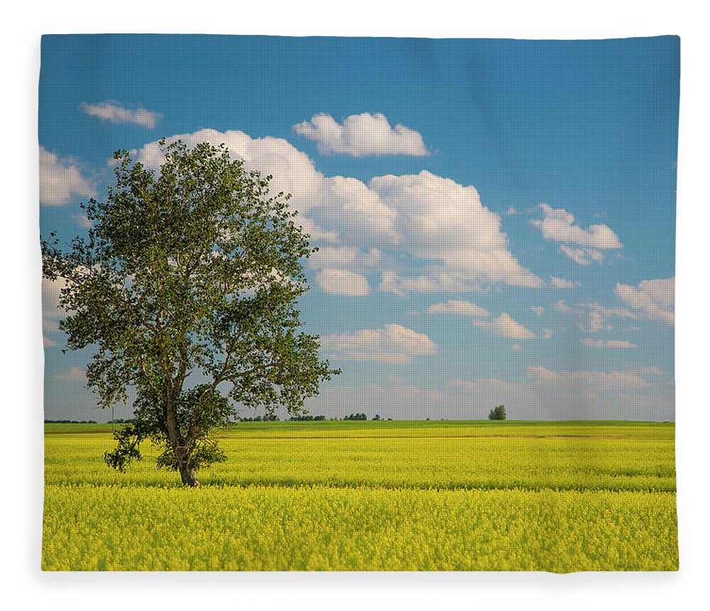 Farming Fleece Blanket featuring the photograph Canola Field in Prairies by Bill Cubitt