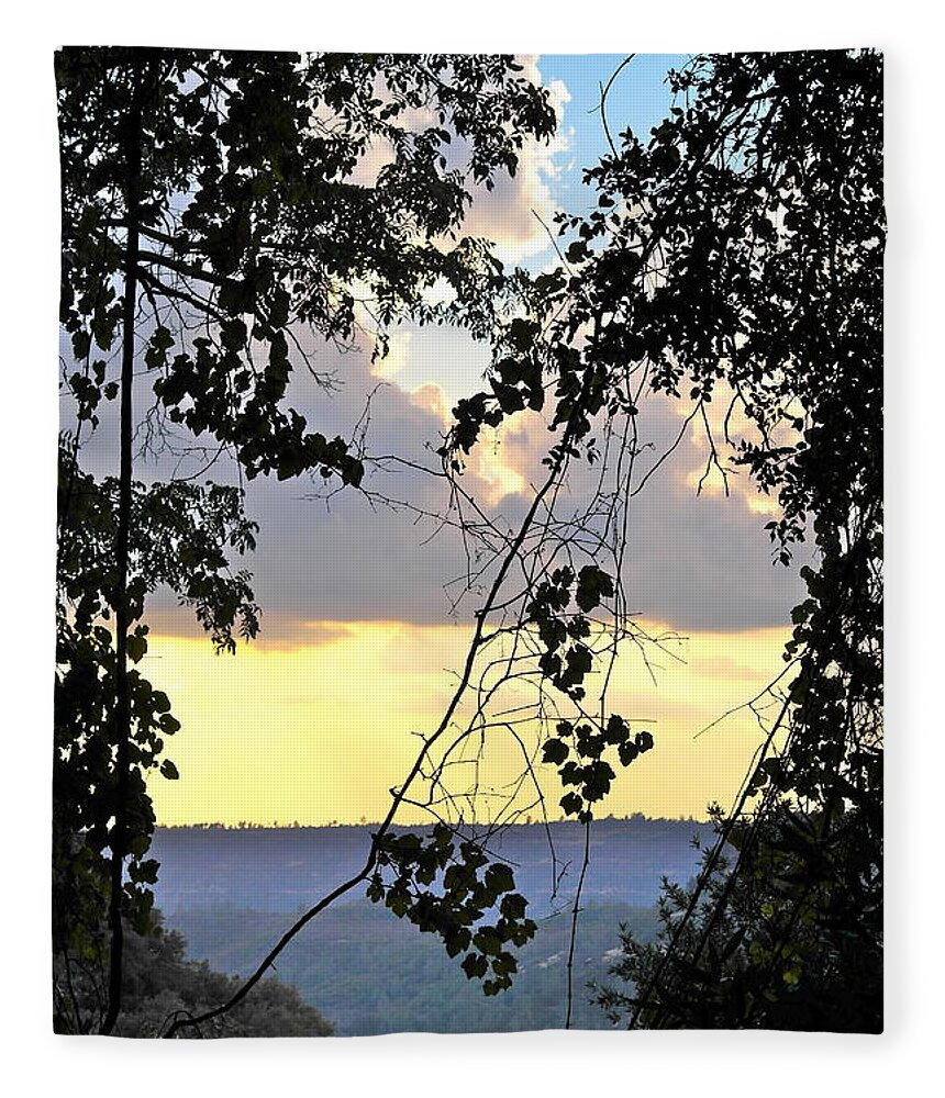 Landscape Fleece Blanket featuring the photograph Canyon Sunset by Michele Myers