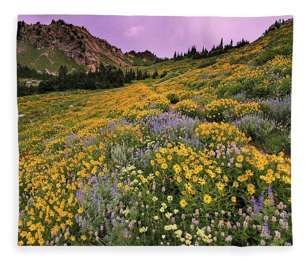 Utah Fleece Blanket featuring the photograph Cardiff Pass Sunset and Wildflowers - Alta, Utah by Brett Pelletier