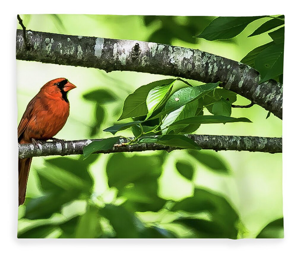 Police Bird Fleece Blanket featuring the digital art Cardinal in the trees. by Ed Stines