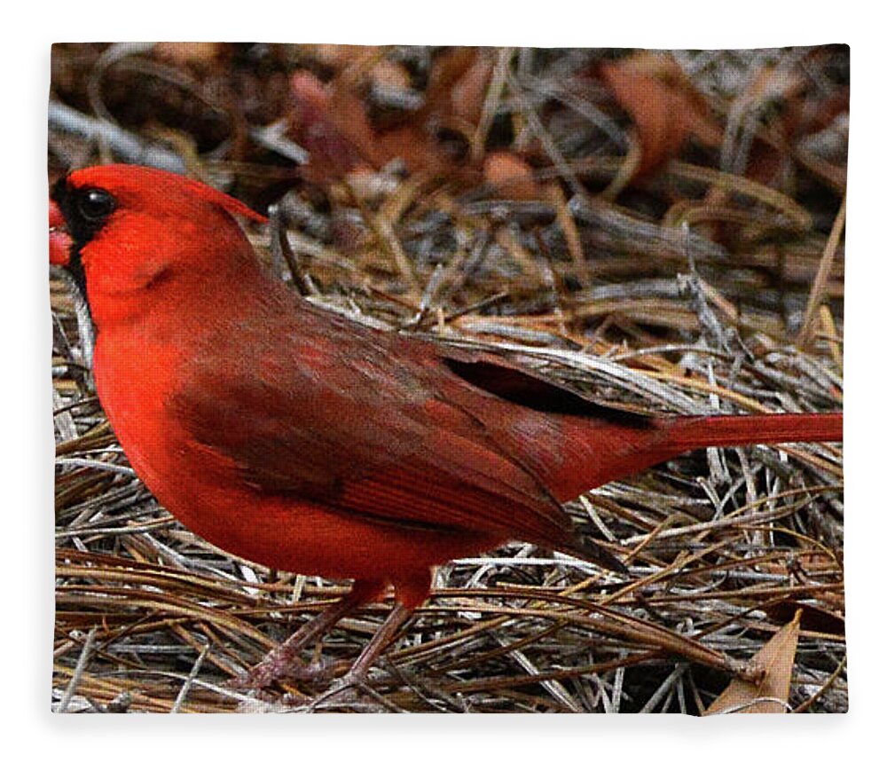 Cardinal Fleece Blanket featuring the photograph Cardinal on Pine Straw by Jerry Griffin
