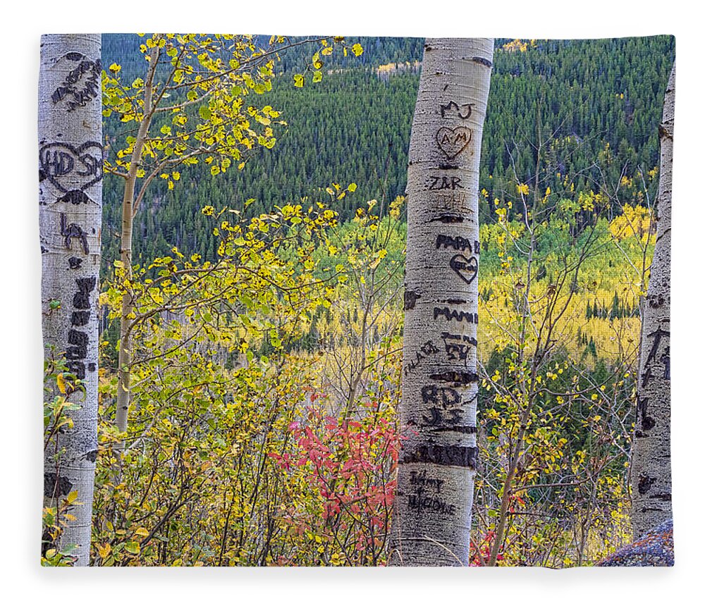 Carved Fleece Blanket featuring the photograph Carved Names and Initials in Autumn Aspen Trees by James BO Insogna