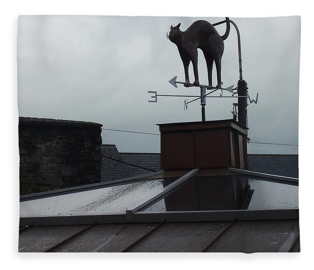 Cat Fleece Blanket featuring the photograph Cat on a Cool Tin Roof by Tim Nyberg