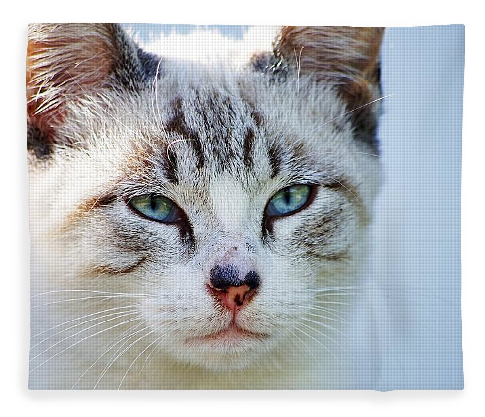 Pet Fleece Blanket featuring the photograph Cat portrait I by Paulo Goncalves