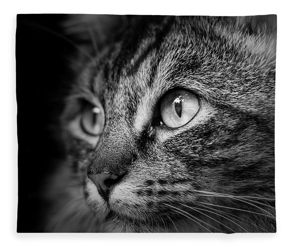Cat Fleece Blanket featuring the photograph Cat Stare BW by Rick Deacon