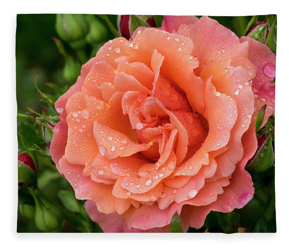 Flowers Fleece Blanket featuring the photograph Caught in the rain by Steven Clark