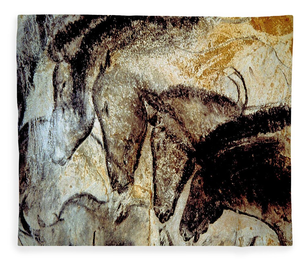 Cave Art Fleece Blanket featuring the photograph Cave Painting 4 by Andrew Fare