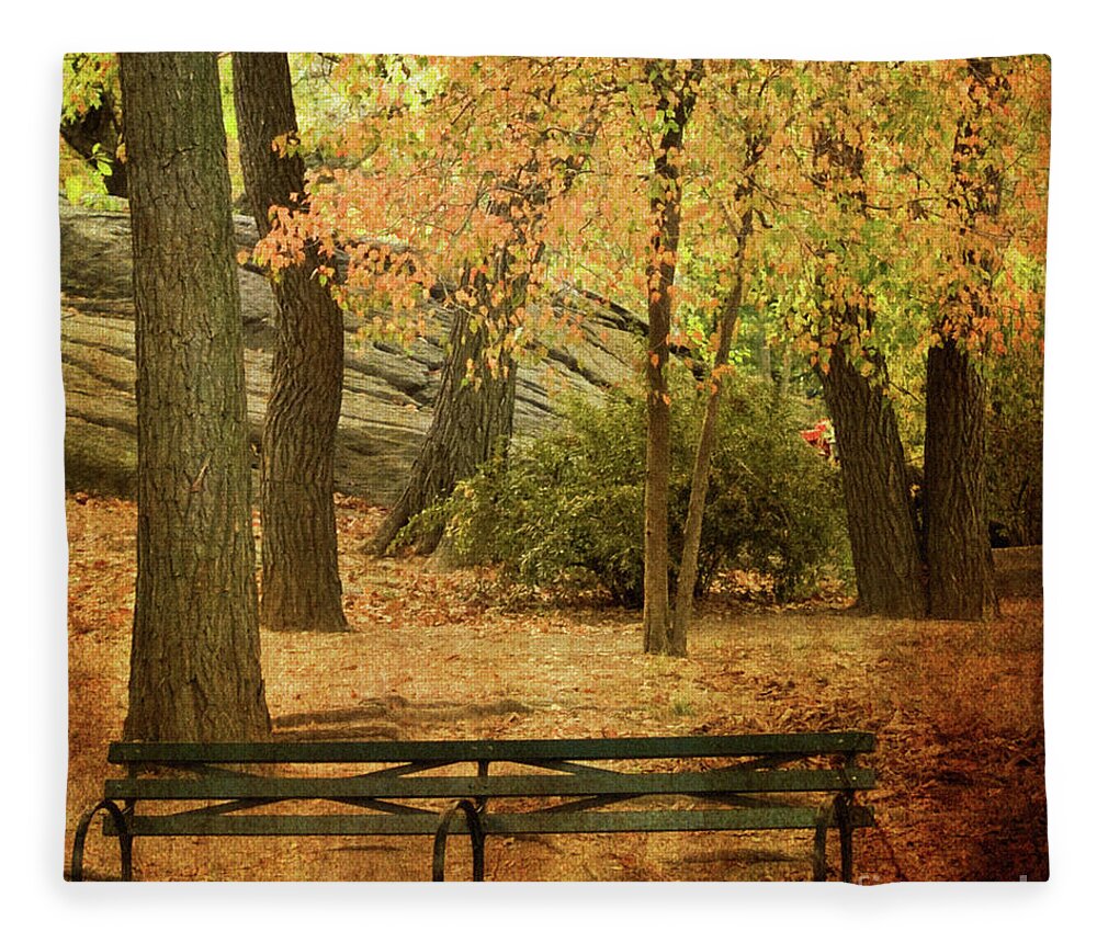 Central Park Fleece Blanket featuring the photograph Central Park Benches by Dorothy Lee
