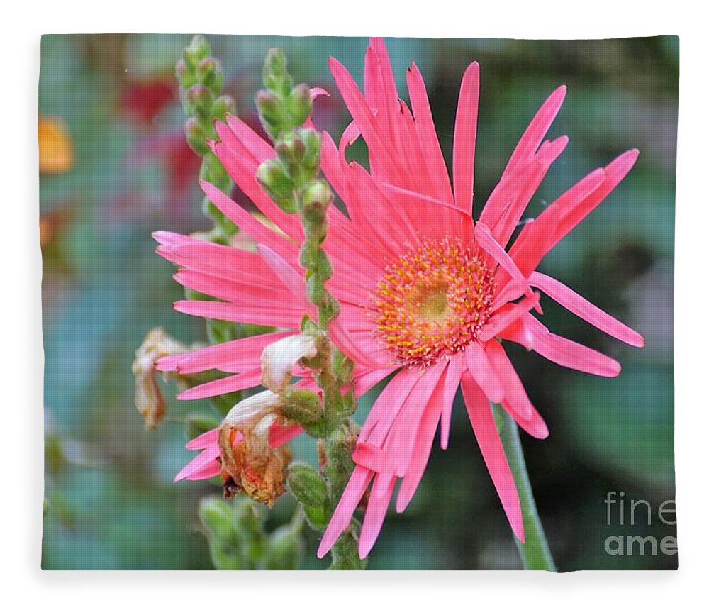 Flowers Fleece Blanket featuring the photograph Charleston NC flower by Merle Grenz