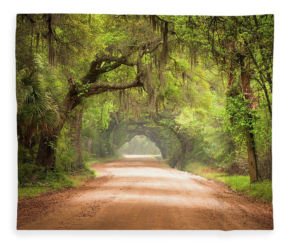 Dirt Road Fleece Blanket featuring the photograph Charleston SC Edisto Island Dirt Road - The Deep South by Dave Allen