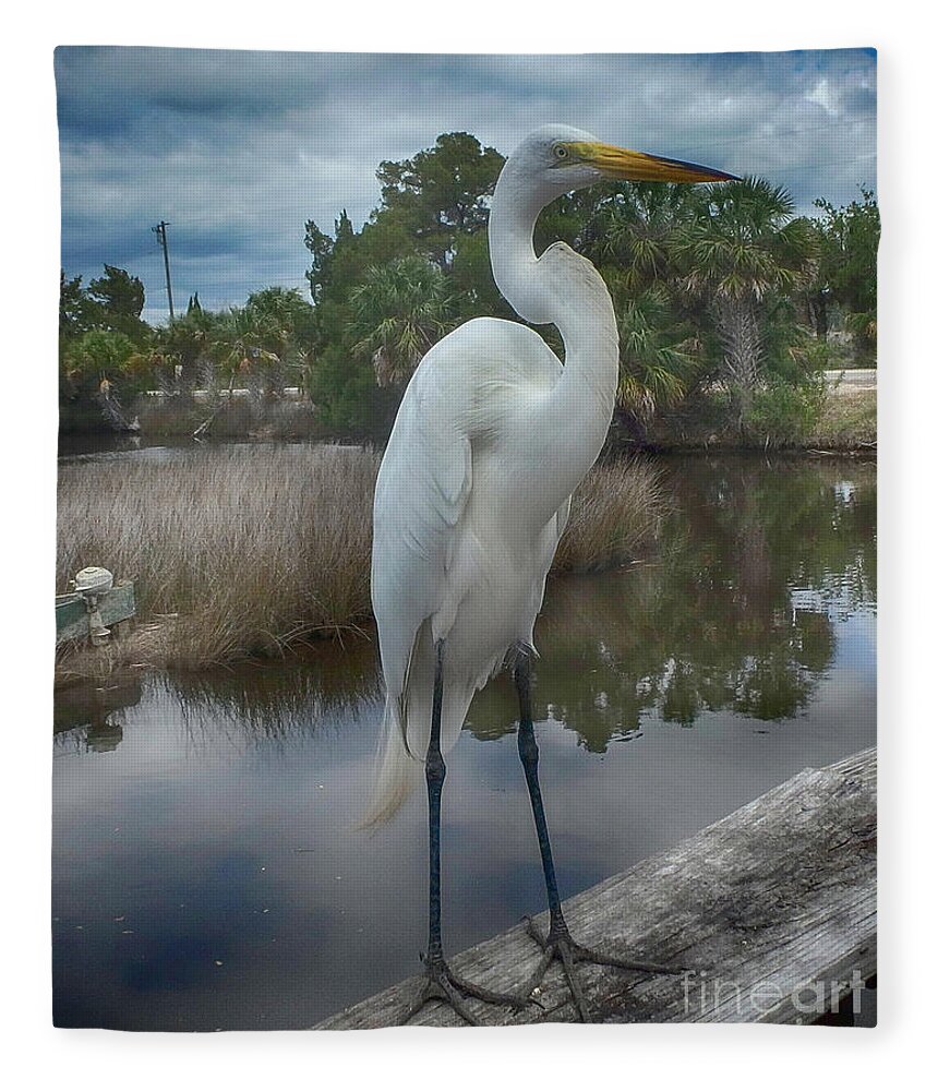 Egret Fleece Blanket featuring the photograph Charlie the Great Egret by Judy Hall-Folde