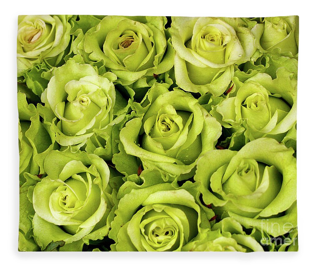 Chartreuse - Color Fleece Blanket featuring the photograph Chartreuse colored roses by Bruce Block