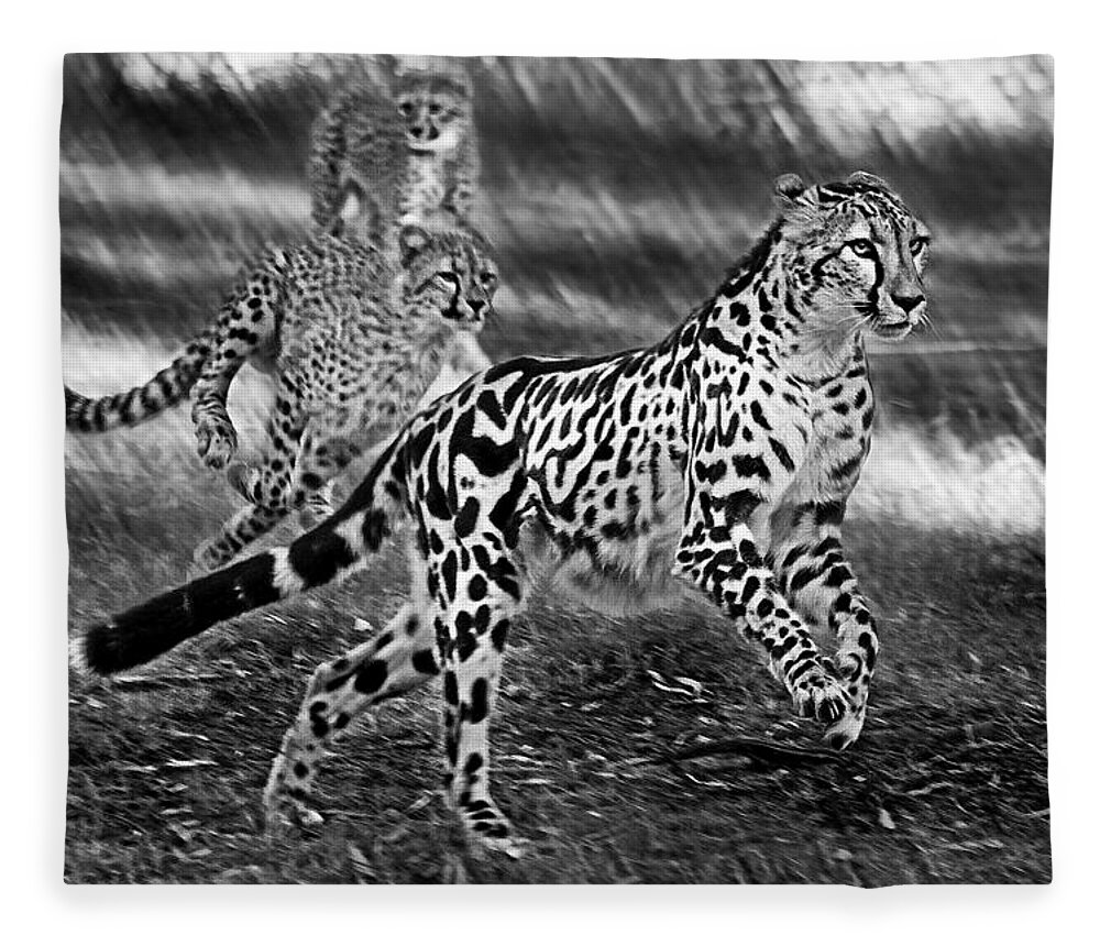 #cheetah Fleece Blanket featuring the photograph Chasing mum by Miroslava Jurcik