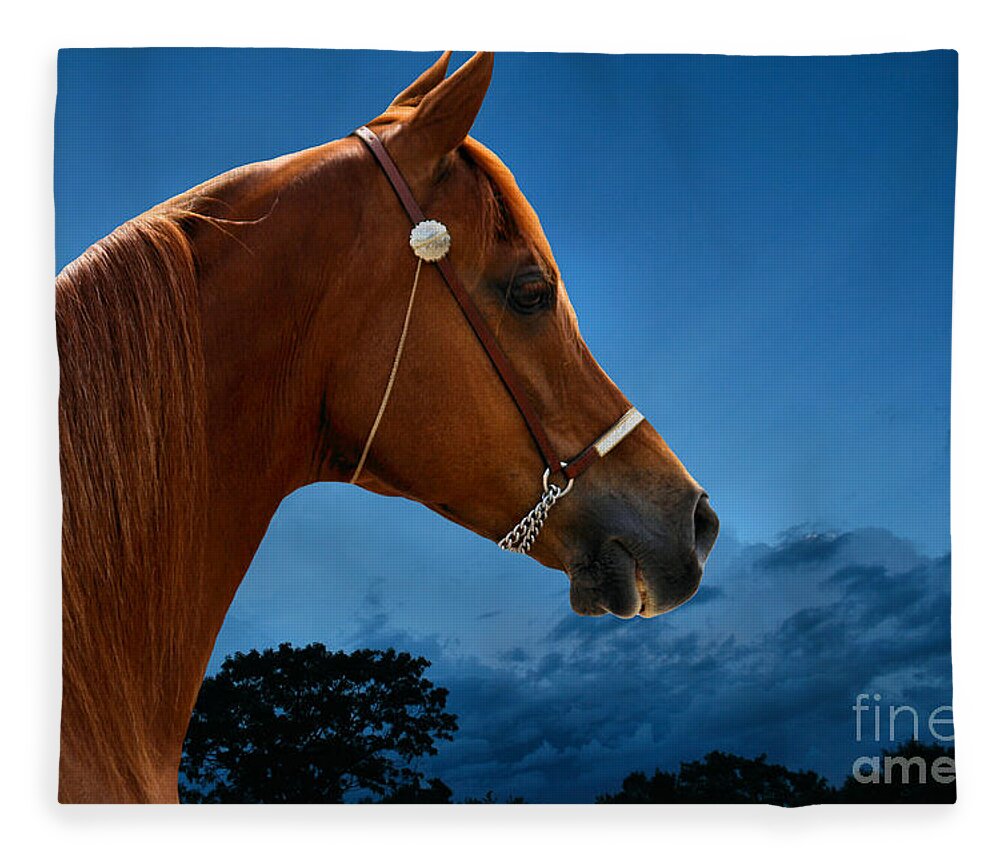 Animals Fleece Blanket featuring the photograph Chestnut Arabian by Sandra Huston