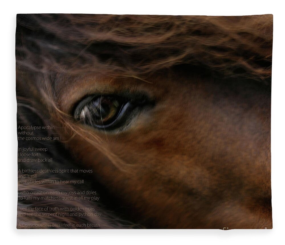 Child Of The Sun Fleece Blanket featuring the photograph Child of the Sun by Sharon Mau