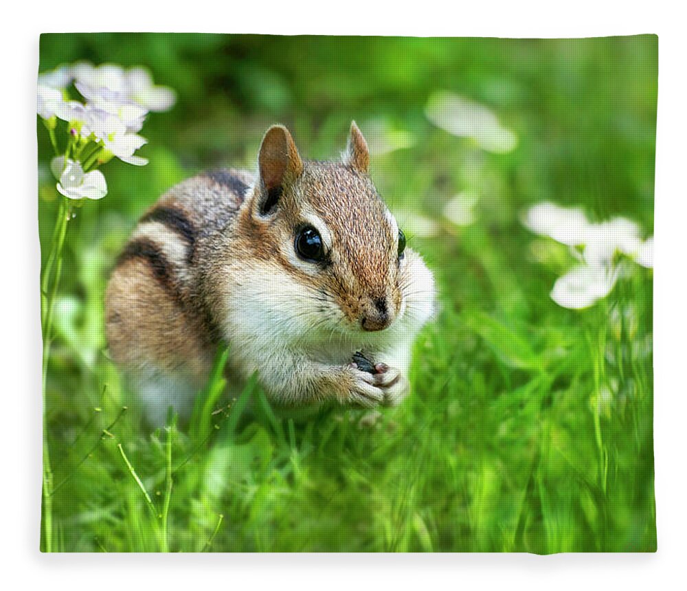 Chipmunk Fleece Blanket featuring the photograph Chipmunk Saving Seeds by Christina Rollo