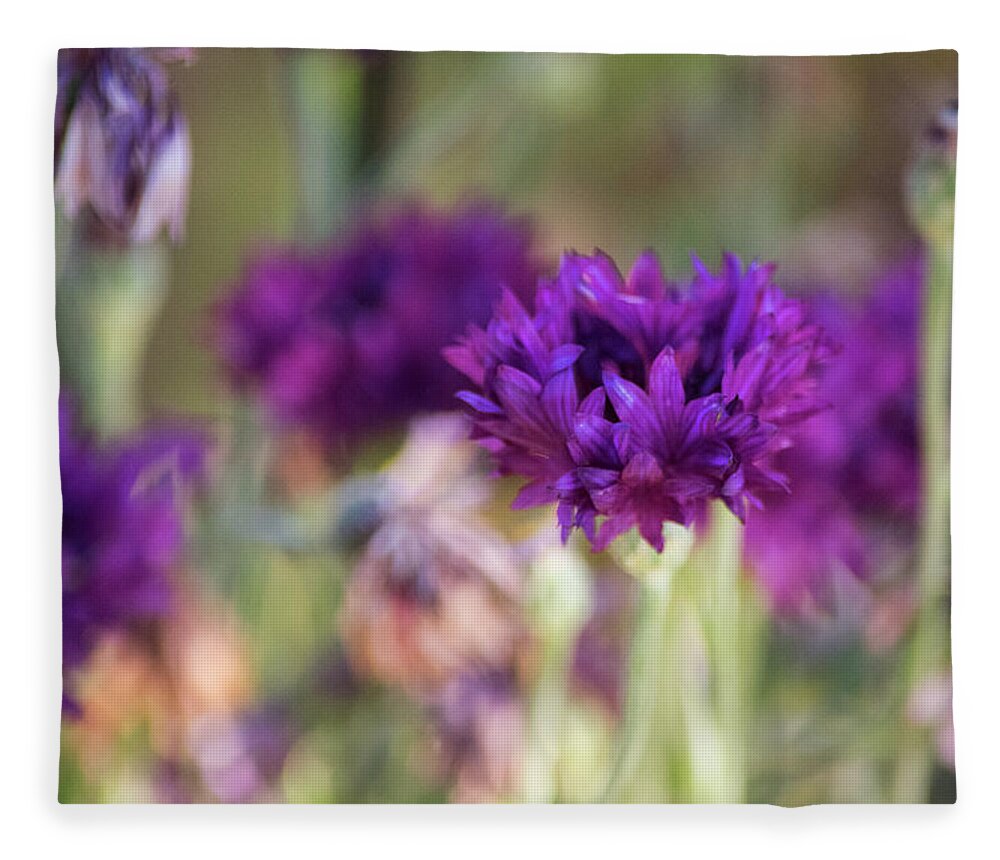 Purple Flowers Fleece Blanket featuring the photograph Chive Blossoms by Bonnie Bruno