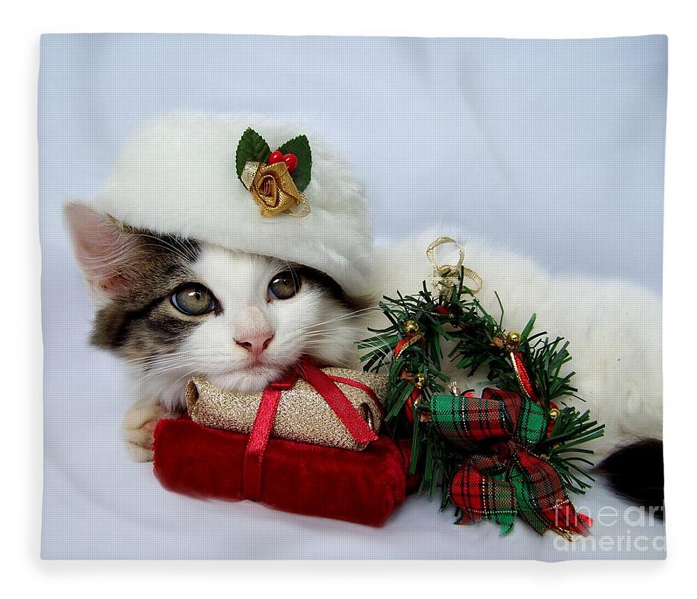 Christmas Fleece Blanket featuring the photograph Christmas Kitten by Jai Johnson