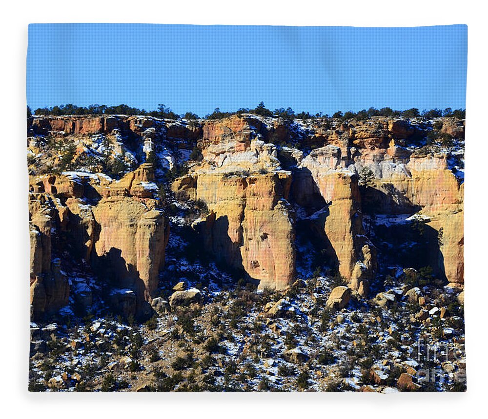 Southwest Landscape Fleece Blanket featuring the photograph Cinco by Robert WK Clark