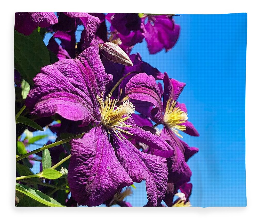 Clematis Fleece Blanket featuring the photograph Clematis In The Sky by Brian Eberly