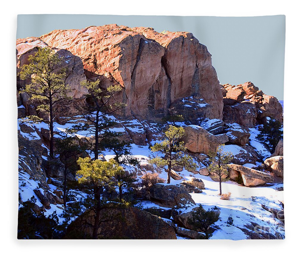 Southwest Landscape Fleece Blanket featuring the photograph Cliff at El Malpais by Robert WK Clark