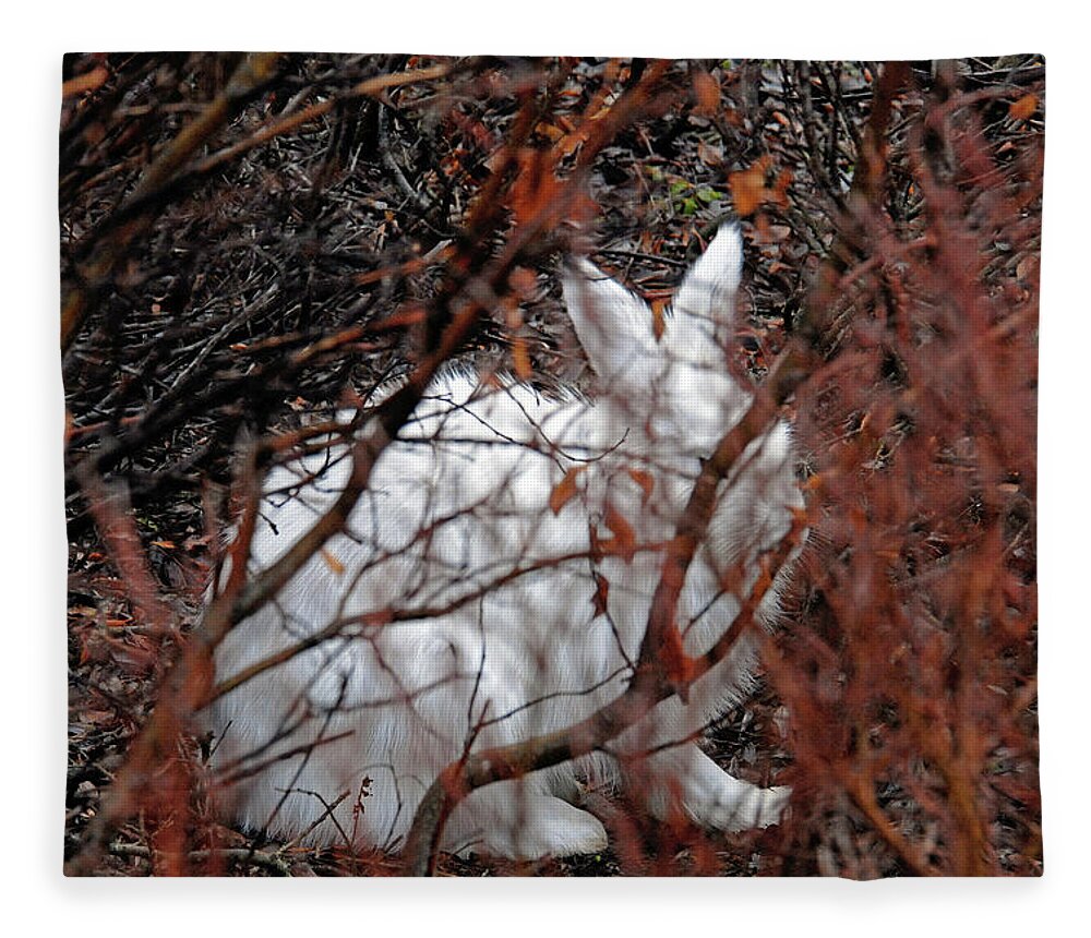 Climate-change Fleece Blanket featuring the photograph Climate-Change-Hindered Hiding Hare by Ted Keller