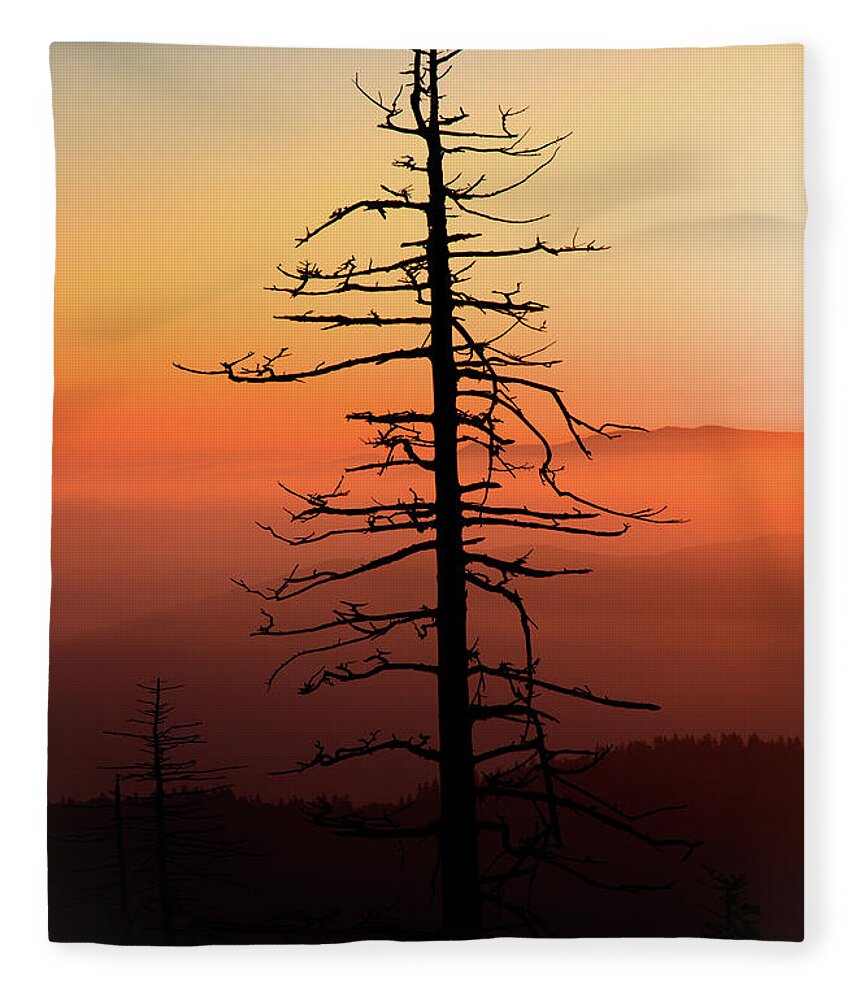 Tree Fleece Blanket featuring the photograph Clingman's Dome Sunrise by Douglas Stucky