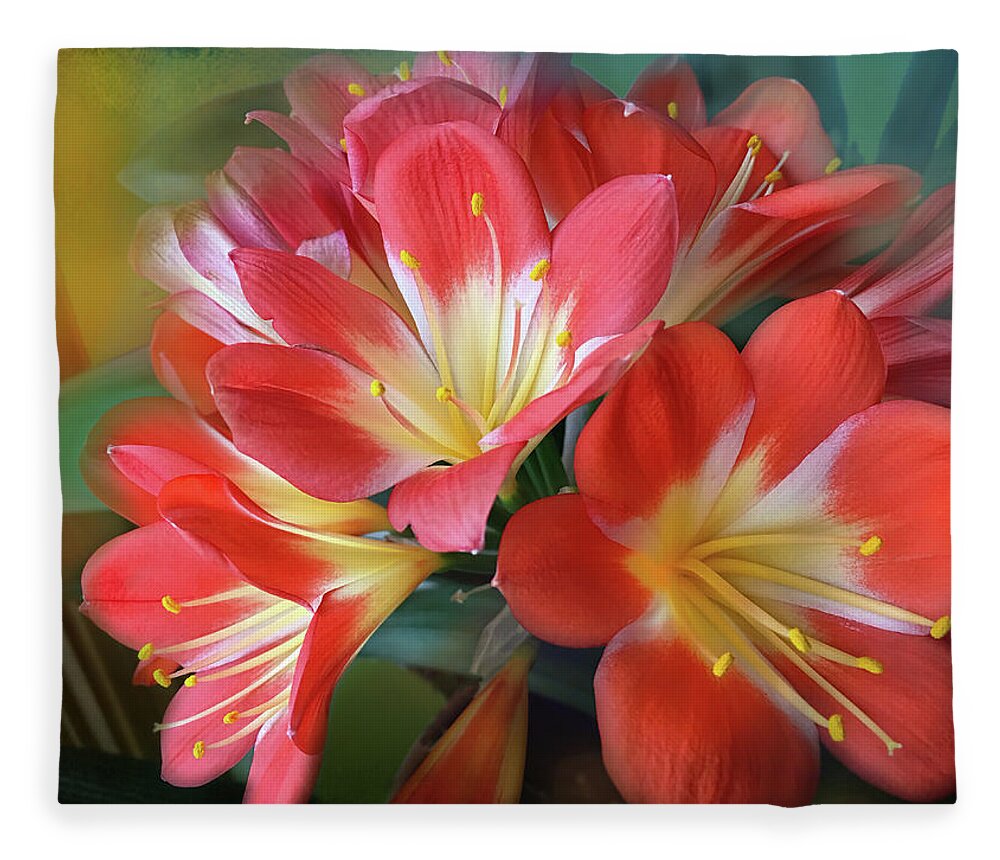 Clivia Fleece Blanket featuring the photograph Clivia by Lorraine Baum