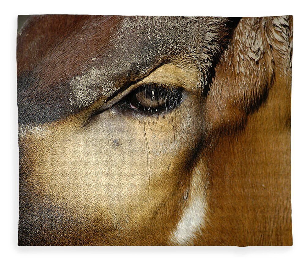 Memphis Zoo Fleece Blanket featuring the photograph Close Encounter by DArcy Evans