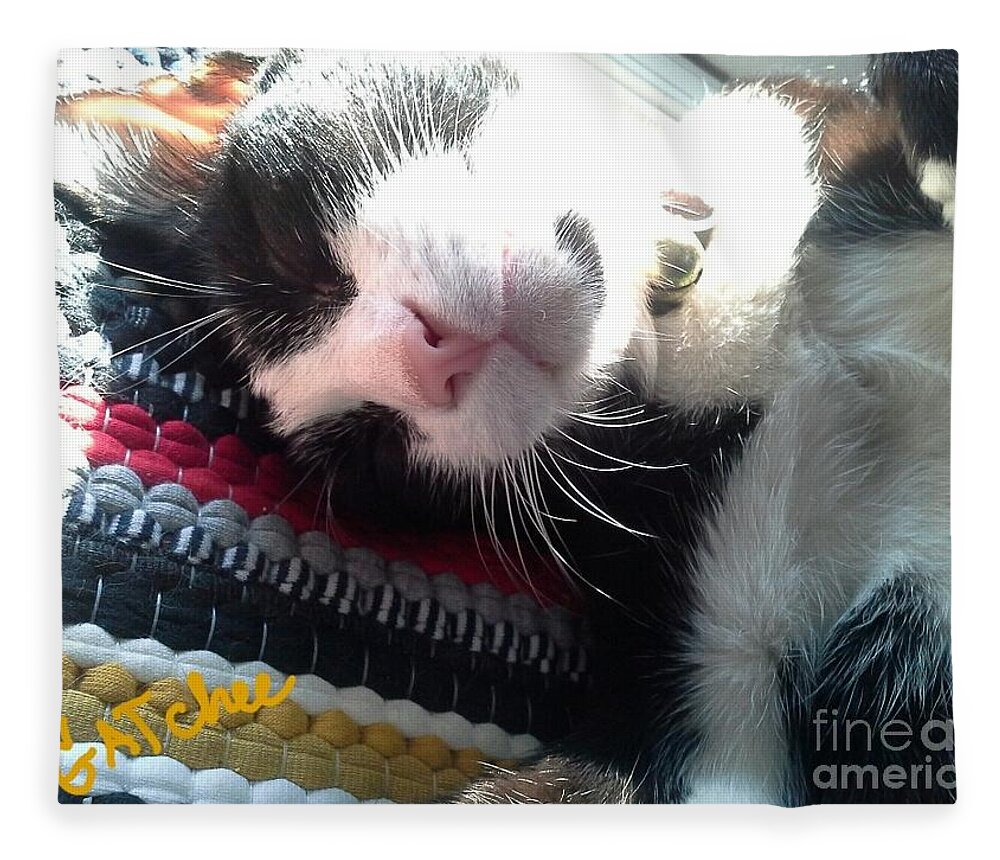 Cat Fleece Blanket featuring the photograph Close Up GATchee by Sukalya Chearanantana