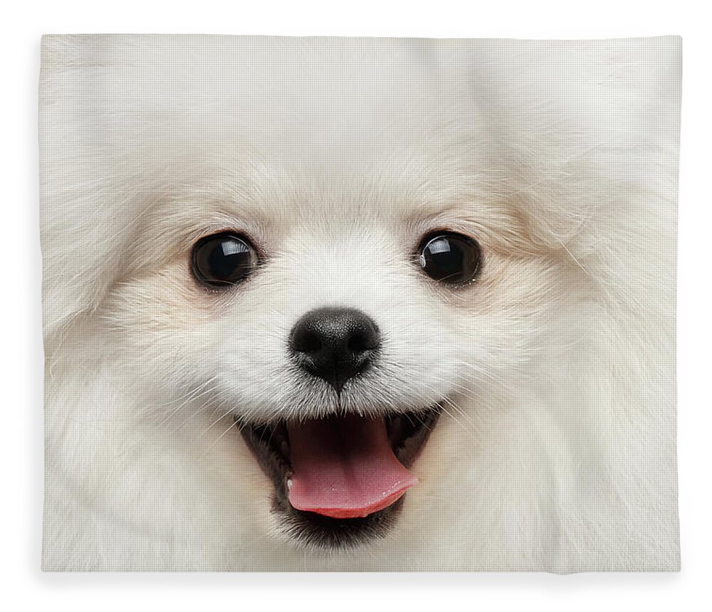 Closeup Fleece Blanket featuring the photograph Closeup Furry Happiness White Pomeranian Spitz Dog Curious Smiling by Sergey Taran