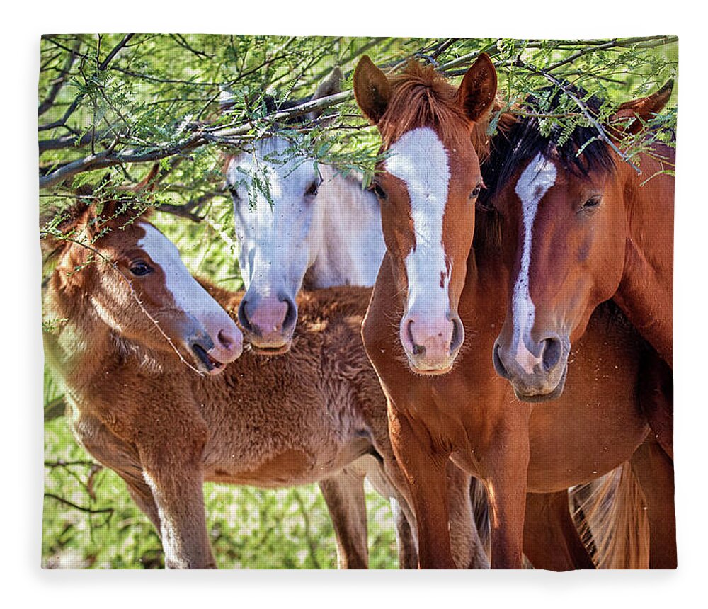 Mesa Fleece Blanket featuring the photograph Closeup of Herd of Four Wild Horses by Good Focused