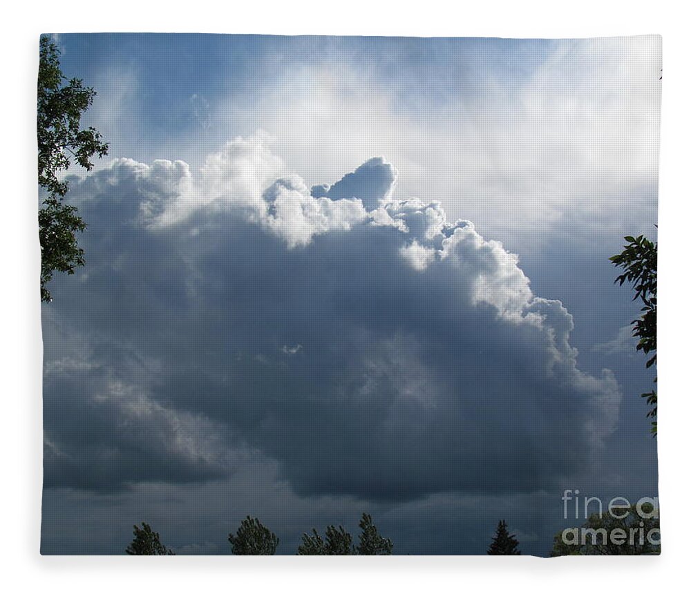 Photography Fleece Blanket featuring the photograph Cloud Face by Delynn Addams
