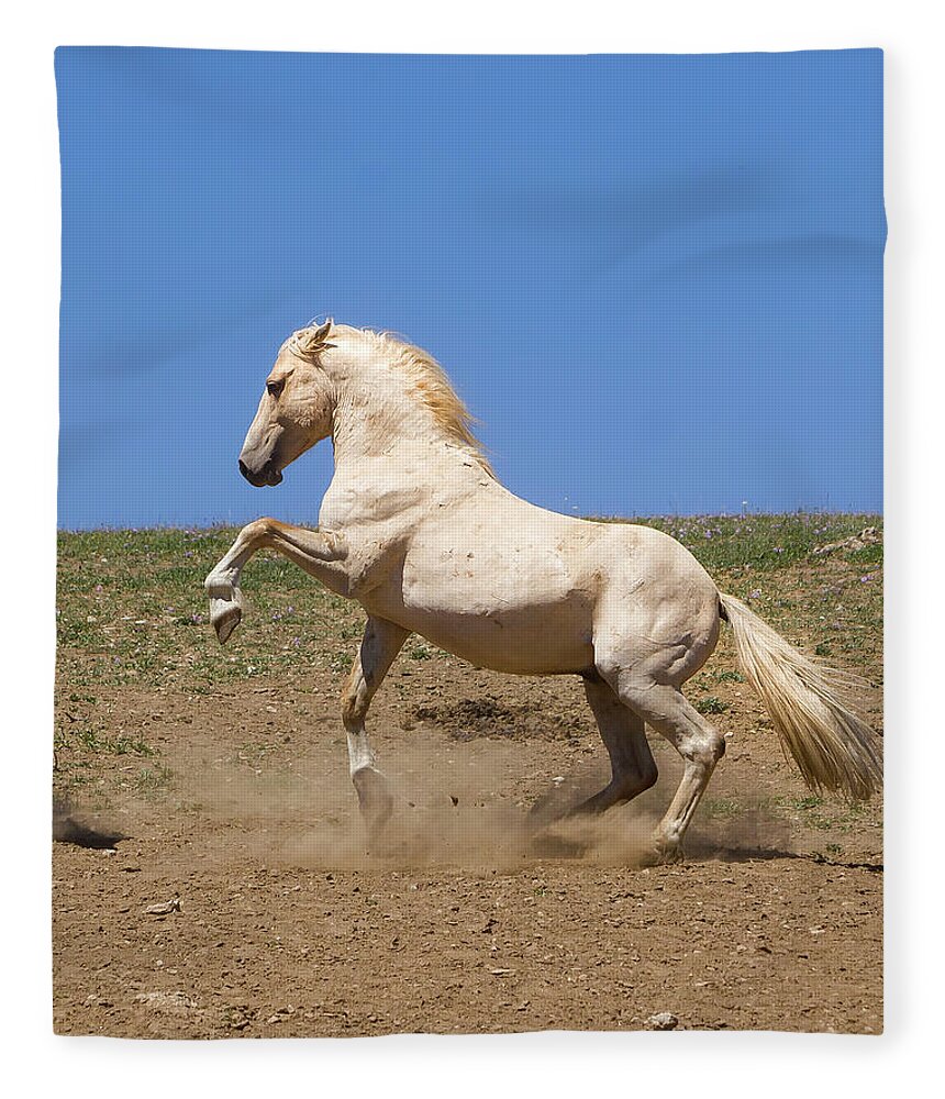 Mark Miller Photos Fleece Blanket featuring the photograph Cloud the Magnificent Stallion by Mark Miller