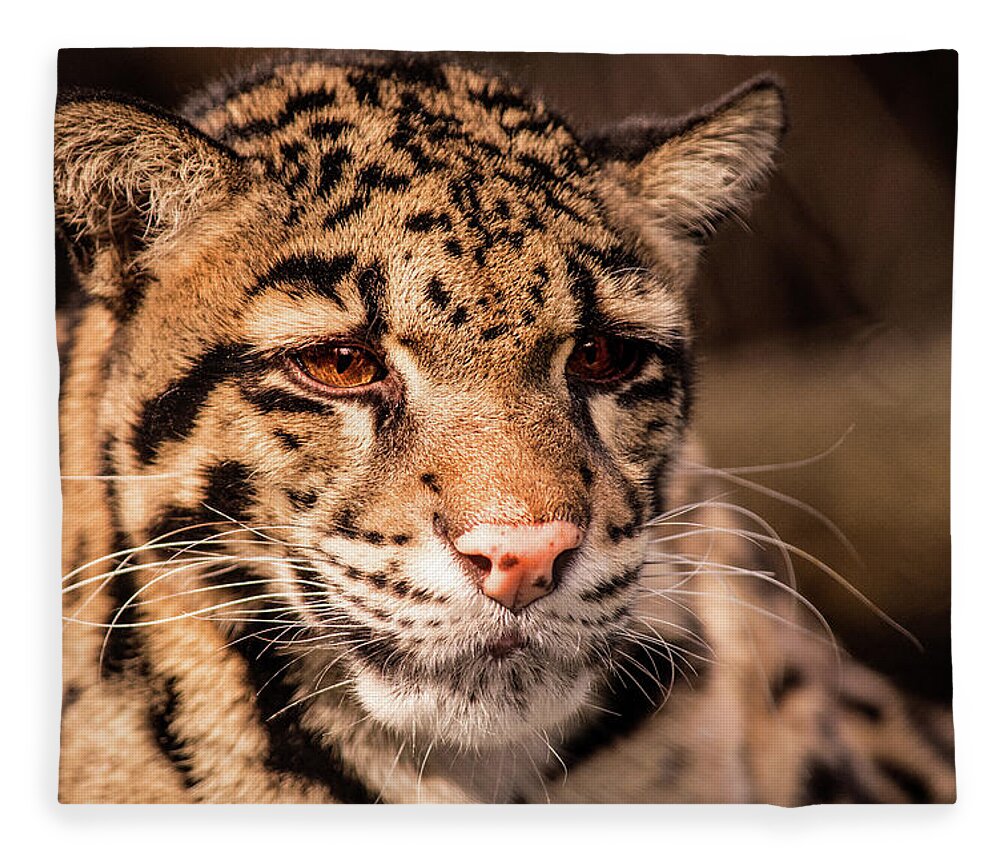 Leopard Fleece Blanket featuring the photograph Clouded Leopard II by Don Johnson