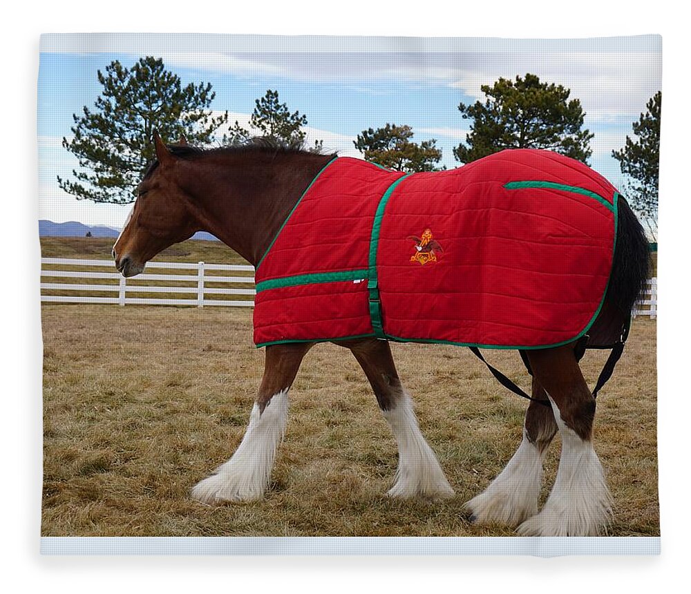 Clydesdale Horse Coat Fleece Blanket by Susan Brown - Pixels