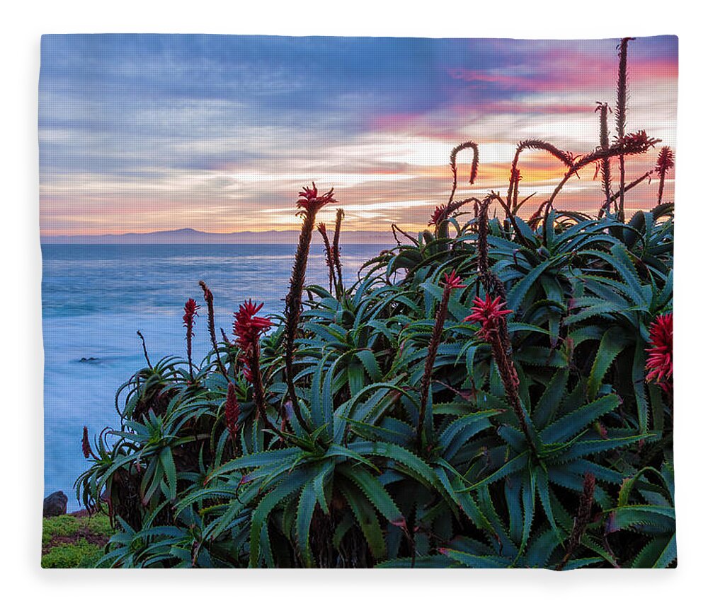Landscape Fleece Blanket featuring the photograph Coastal Aloes by Jonathan Nguyen