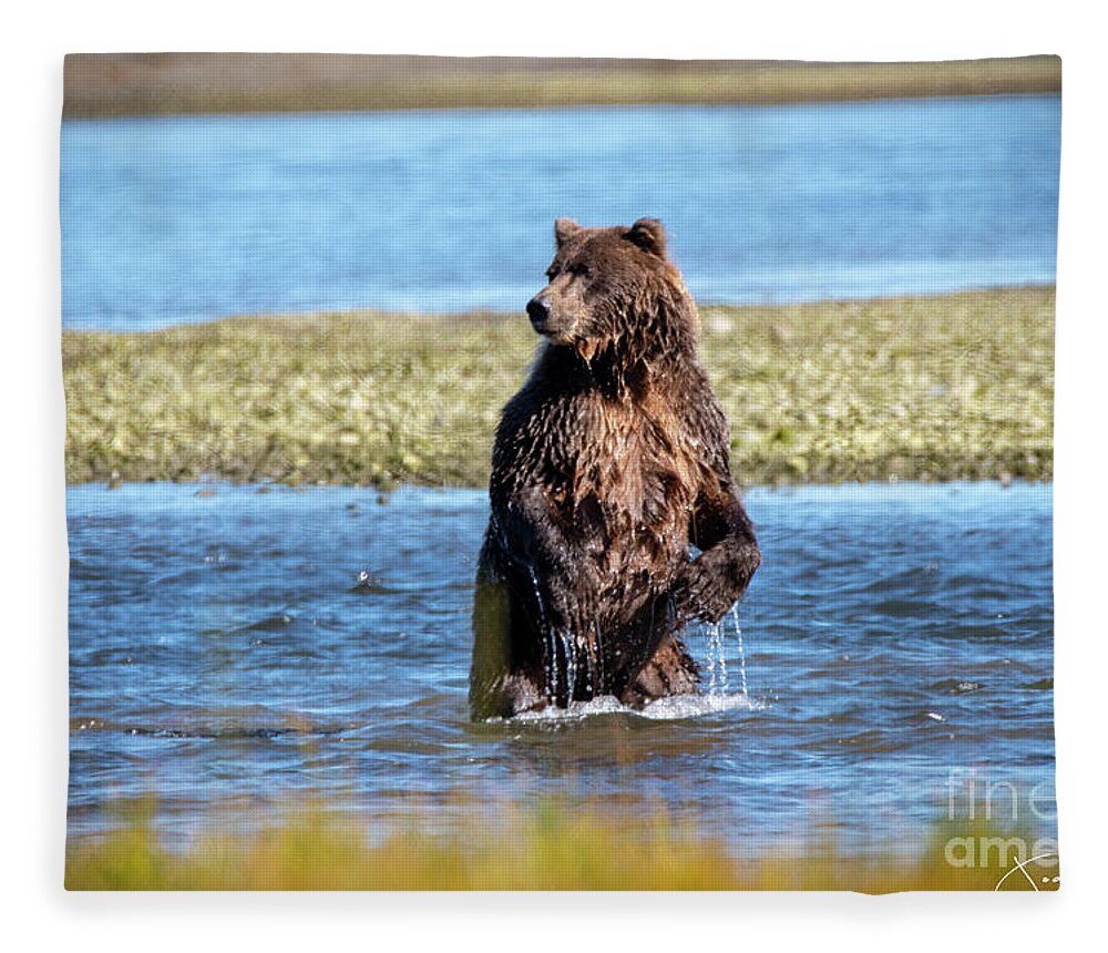 Bears Fleece Blanket featuring the photograph Coastal Brown Bear Taking Stand by Joanne West