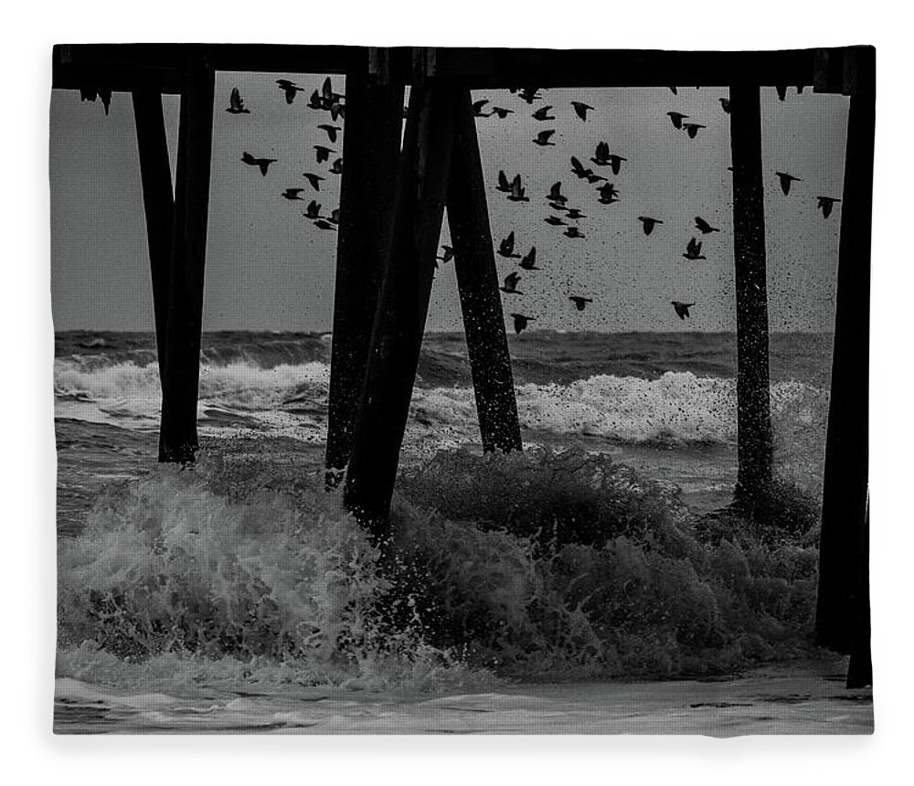 Bird Fleece Blanket featuring the photograph Coastal Movements by Nicole Lloyd