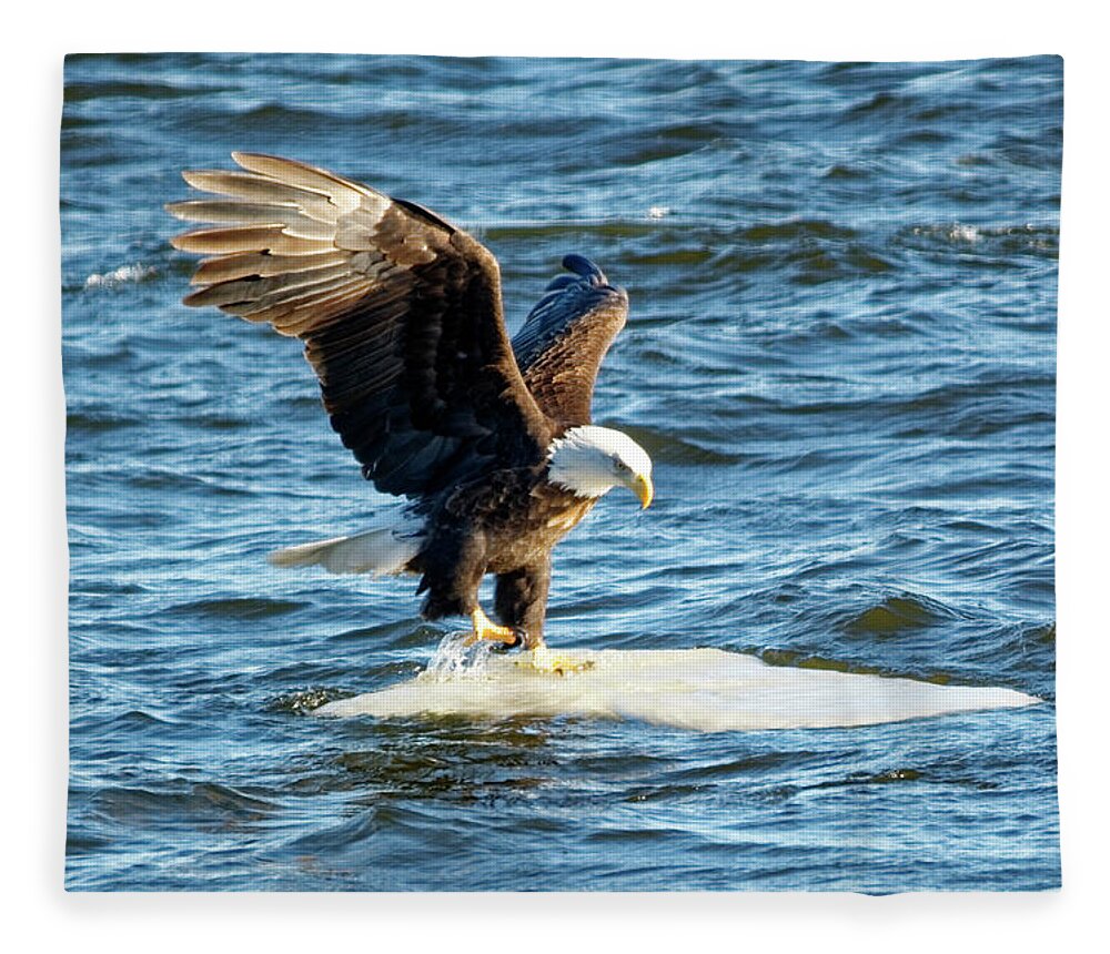 Bald Eagle Fleece Blanket featuring the photograph Cold Landing by Peter Ponzio