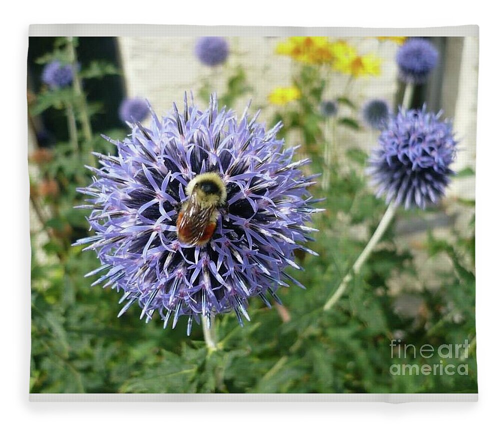 Bee Fleece Blanket featuring the photograph Collector by 'REA' Gallery