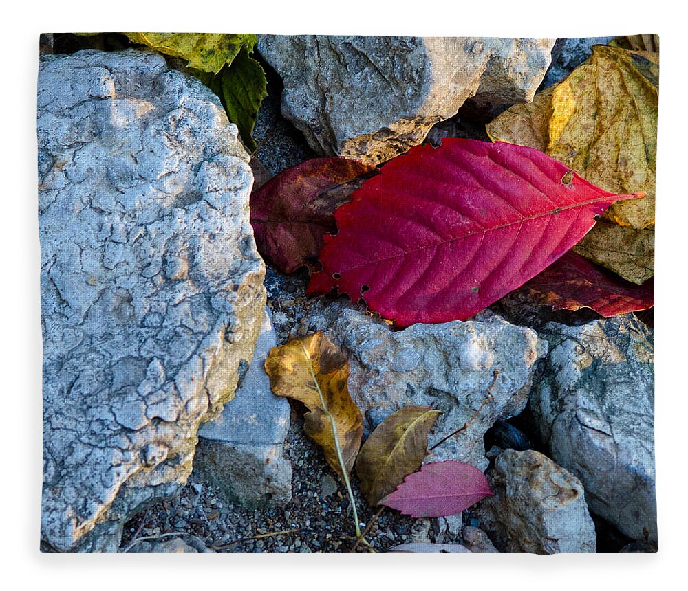 Fall Fleece Blanket featuring the photograph Color Underfoot by Jeff Phillippi