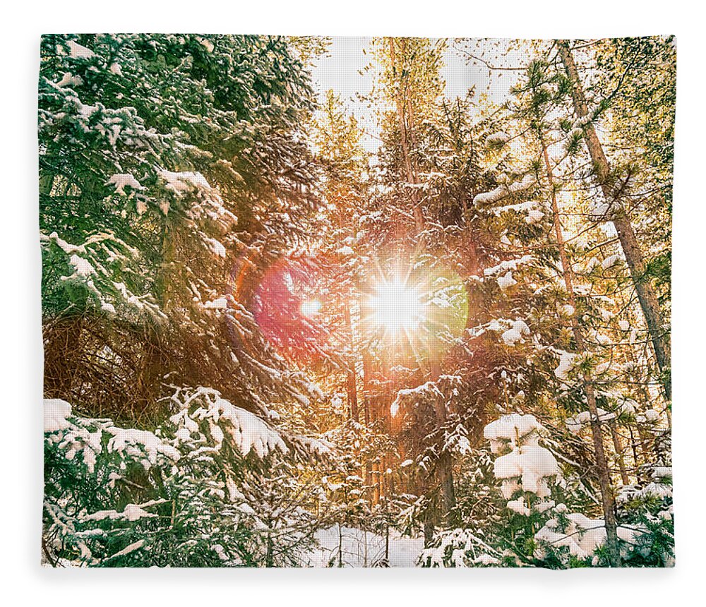 Winter Fleece Blanket featuring the photograph Colorado Rocky Mountain Snow and Sunshine by James BO Insogna